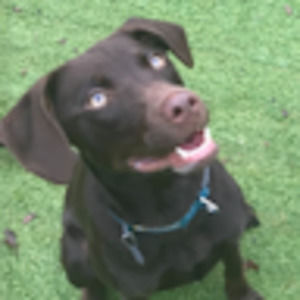 Meet your Posher, Alexandra